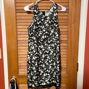 Lulus • Lace Sleeveless Dress White Black Medium